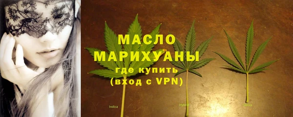 сатива Осинники