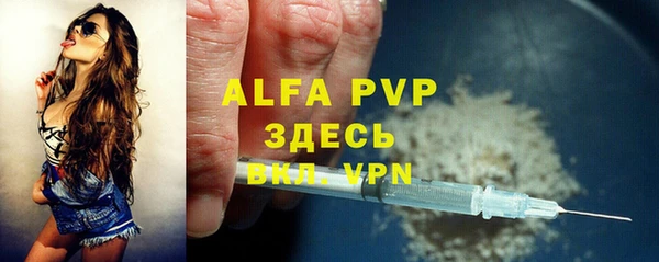 бошки Пересвет