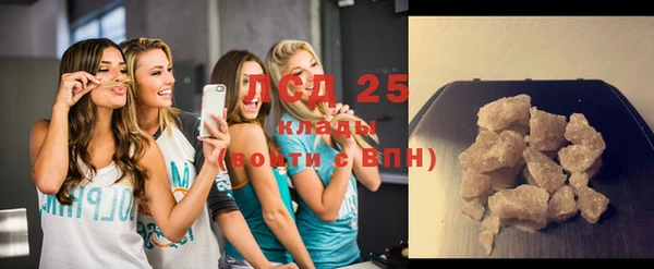 прущие грибы Дубовка