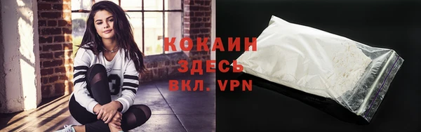 дмт Осташков