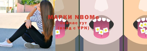 дмт Осташков