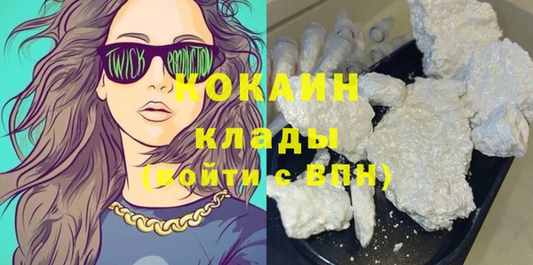 сатива Осинники