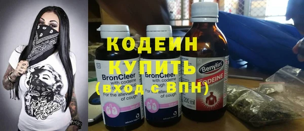 дмт Осташков